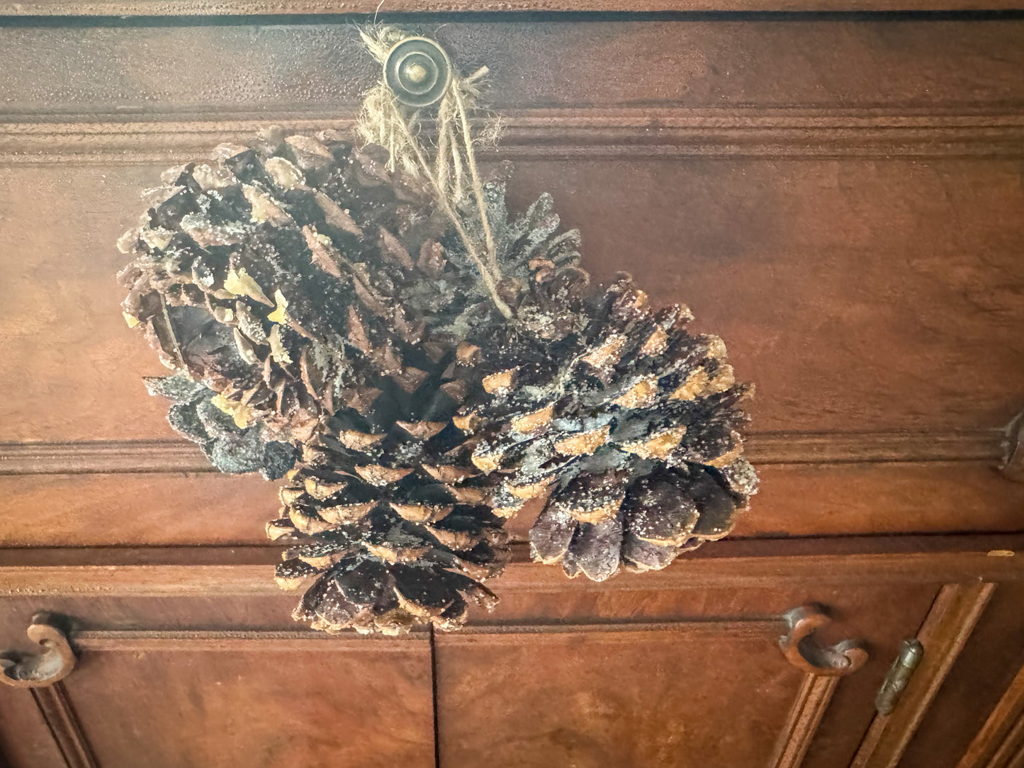 Pack of 10 - Whispering Pines Creations Eco-Friendly Pinecone Fire Starter